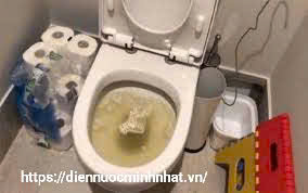 Nguyên nhân và cách khắc bồn cầu bị trào ngược